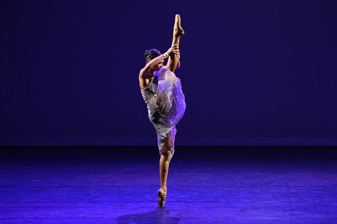 Gabriella Assis - Performance 8